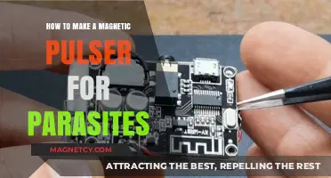 DIY Magnetic Pulser: A Natural Approach to Parasite Control