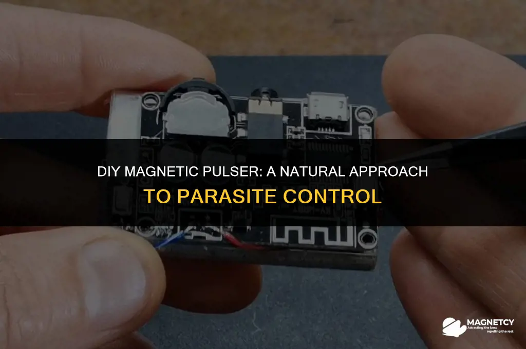 how to make a magnetic pulser for parasites