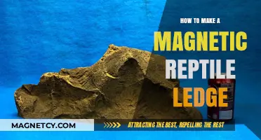 DIY Magnetic Reptile Ledge: A Step-by-Step Guide