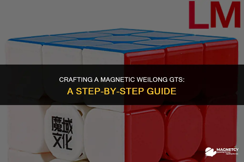how to make a magnetic weilong gts