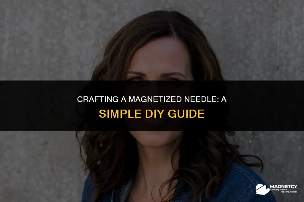 how to make a magnetized needle