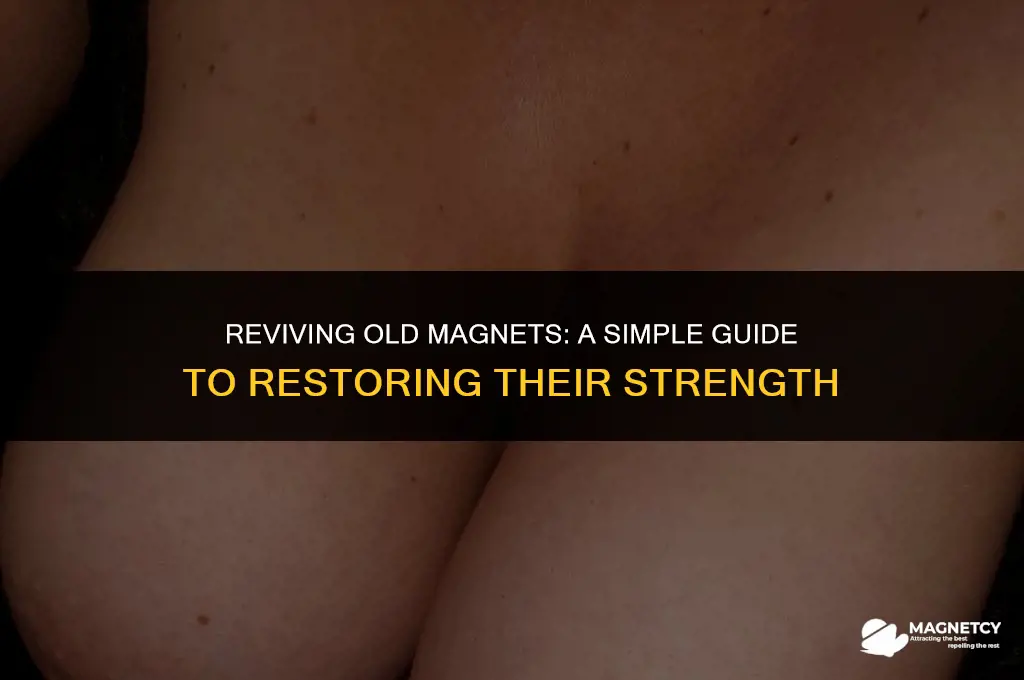 how to make a magnets after keeping for few days
