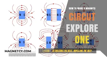 Exploring Magnetic Circuits: A Beginner's Guide to Creating One