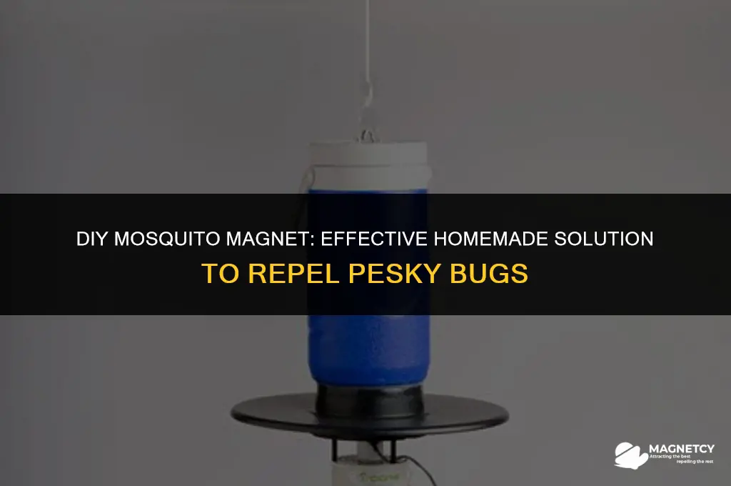 how to make a mosquito magnet