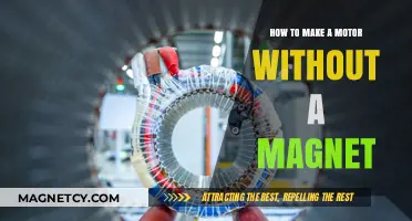 Innovative DIY: Crafting a Magnet-Free Motor at Home