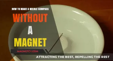 DIY Needle Compass: Navigating Without a Magnet