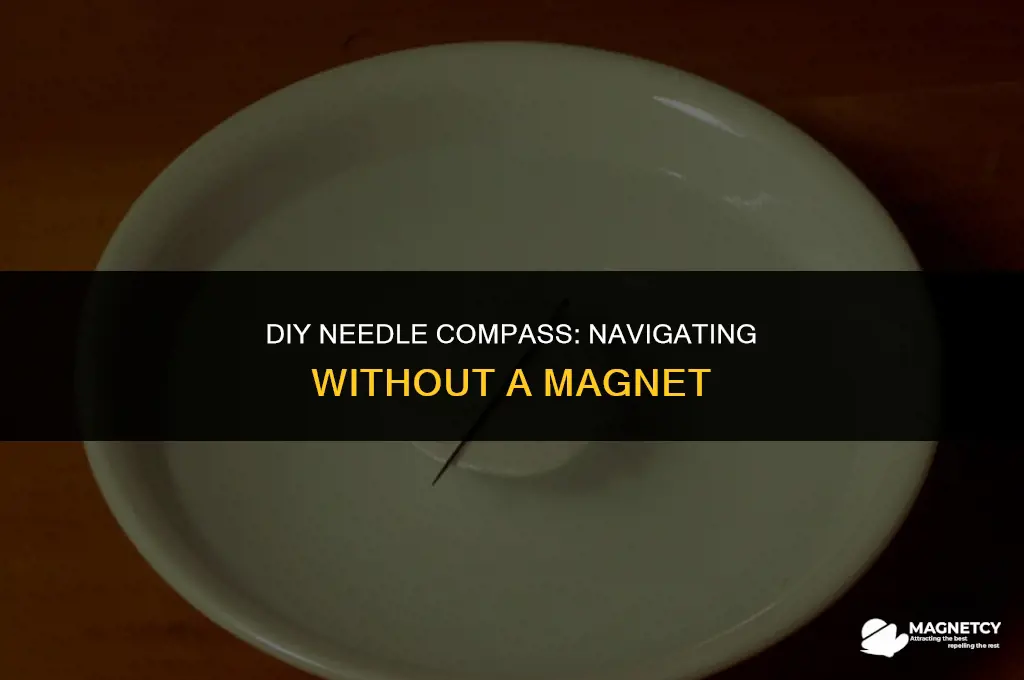 how to make a needle compass without a magnet