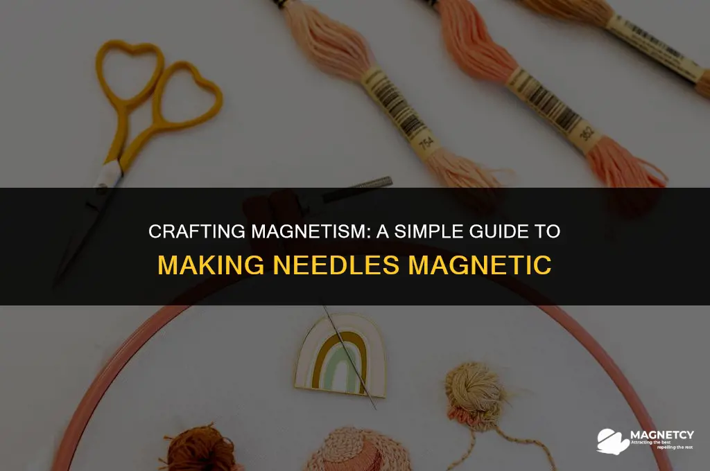 how to make a needle magnetic