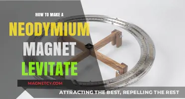Levitating Wonders: The Art of Floating Neodymium Magnets