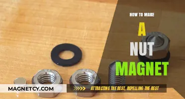 Crafting a Nut Magnet: A Simple DIY Guide