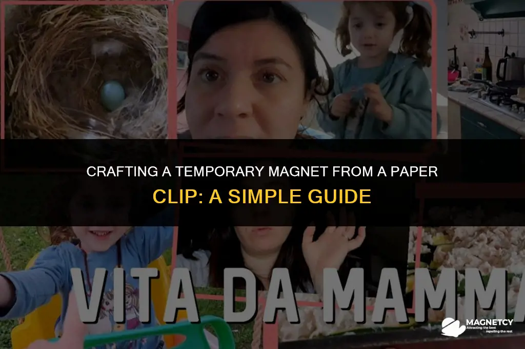 how to make a paper clip a temporary magnet