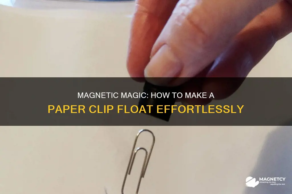 how to make a paper clip float using magnets