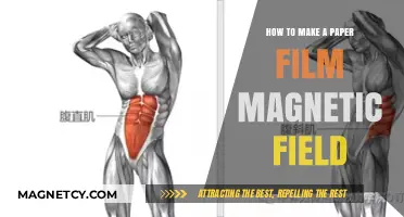 Crafting Cinematic Magic: A DIY Guide to Paper Film Magnetic Fields