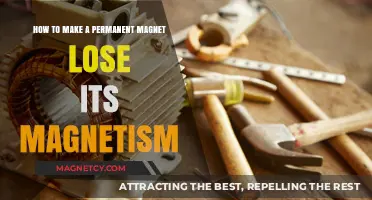 Demagnetizing Made Easy: How to Make a Permanent Magnet Lose Its Magnetism
