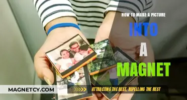 Transform Your Favorite Photos into Custom Magnets: A Simple Guide