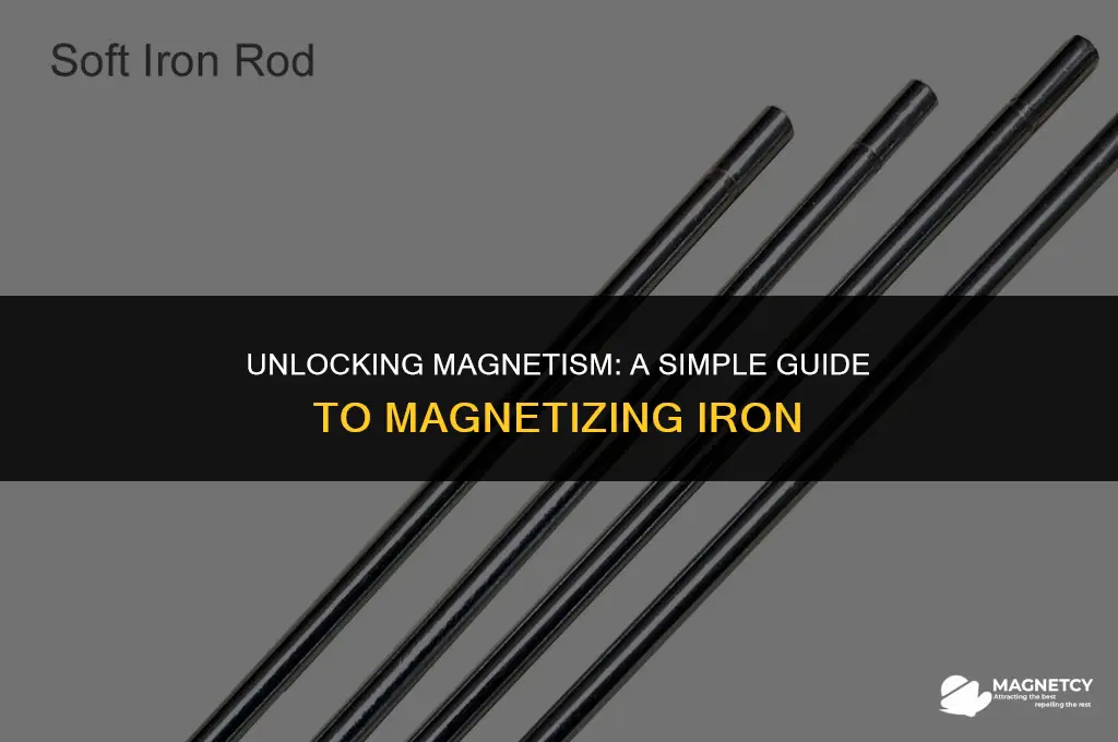 how to make a piece of iron magnetic