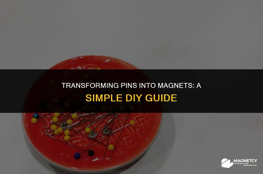how to make a pin into a magnet