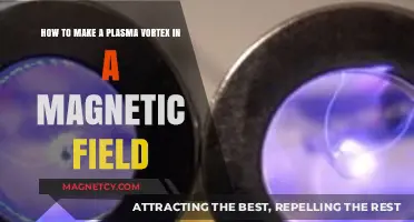 Unleashing the Power: Creating Plasma Vortexes in Magnetic Fields