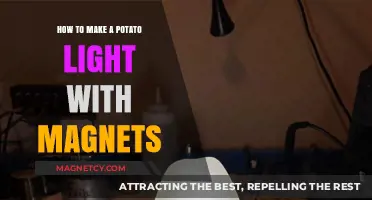 DIY Potato Lamp: Illuminating Innovation with Magnetic Magic