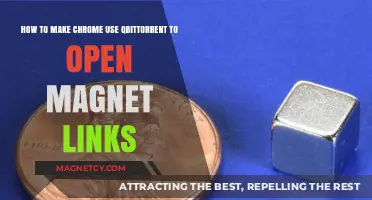 Set Chrome to Open Magnet Links with qBittorrent Easily