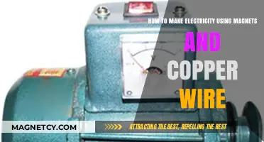 Harnessing Magnetic Power: DIY Electricity with Copper Wire and Magnets