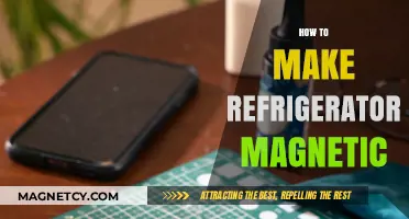 Crafting Magnetic Wonders: A DIY Guide to Refrigerator Magnets