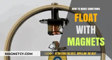 Levitation Unleashed: The Art of Floating Objects with Magnets