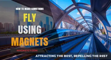 Magnetic Flight: Mastering Levitation and Propulsion with Simple Magnets