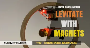 Magnetic Marvels: The Art of Levitation Explained