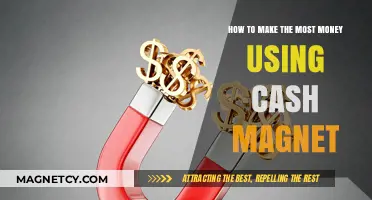 Maximize Your Earnings: Proven Strategies for Cash Magnet Success