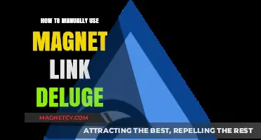 Mastering Deluge: A Step-by-Step Guide to Using Magnet Links Manually