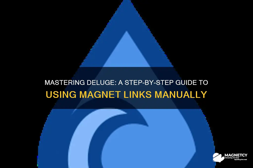 how to manually use magnet link deluge