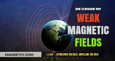 Exploring the Invisible: Techniques for Measuring Weak Magnetic Fields