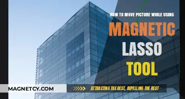 Mastering Magnetic Lasso: Seamlessly Move Images in Photoshop Effortlessly