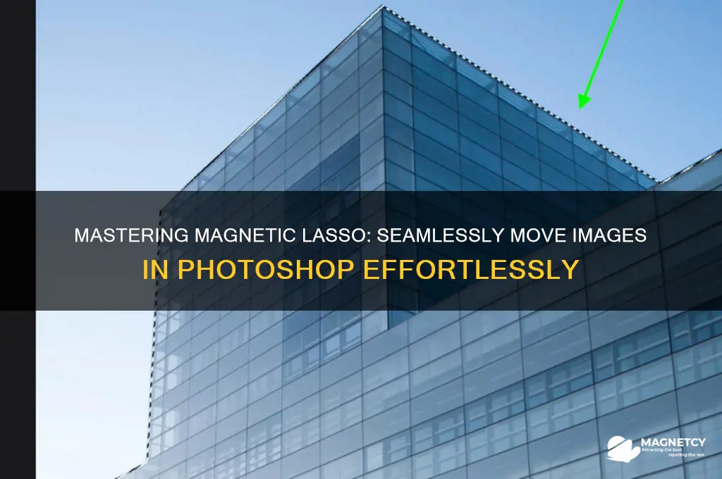 how to move picture while using magnetic lasso tool