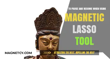 Mastering Magnetic Lasso: Pause and Resume Techniques in Photoshop