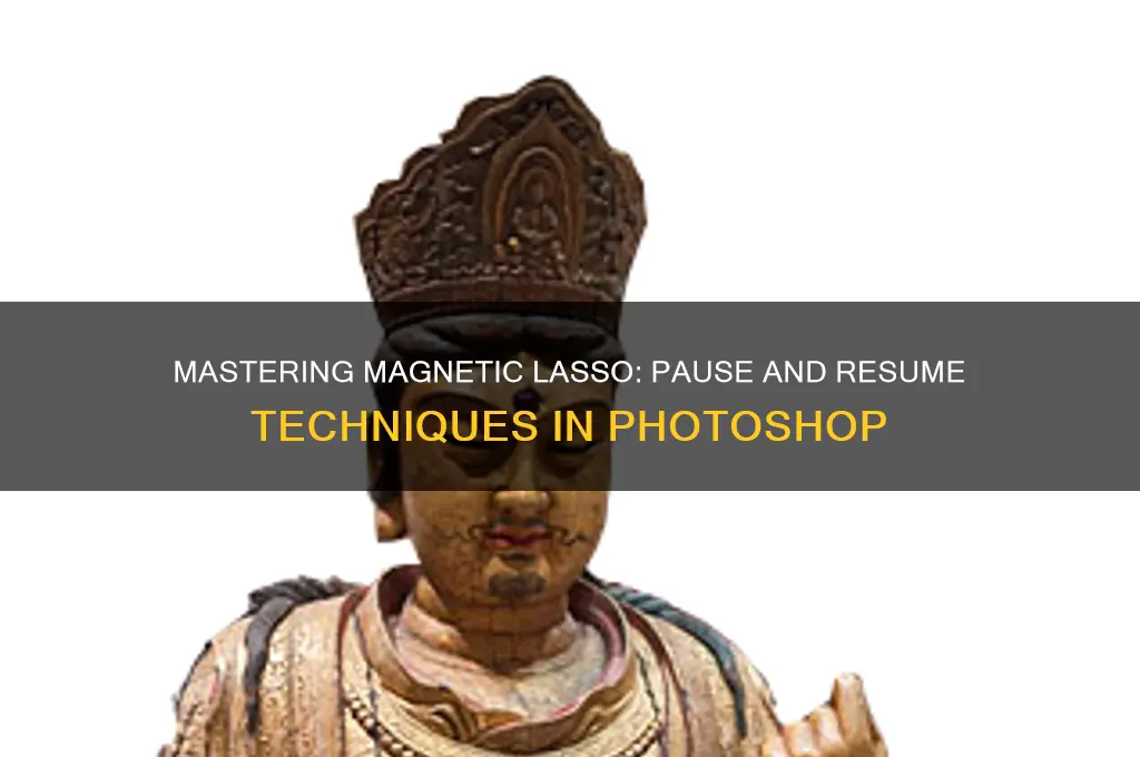 how to pause and resume when using magnetic lasso tool