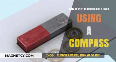 Plotting Magnetic Field Lines: A Compass-Guided Visualization Technique