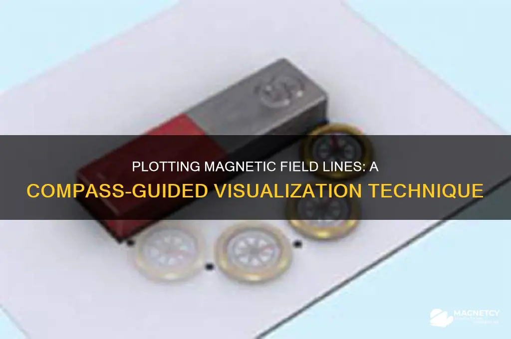 how to plot magnetic field lines using a compass