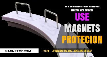 Shielding Electronics from Neutrons: Magnetic Protection Strategies for Devices