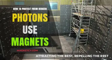 Shielding from Rengen Photons: Effective Magnet Protection Strategies Explained