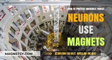 Shielding Neurons: Magnetic Defense Against Invisible Threats Explained