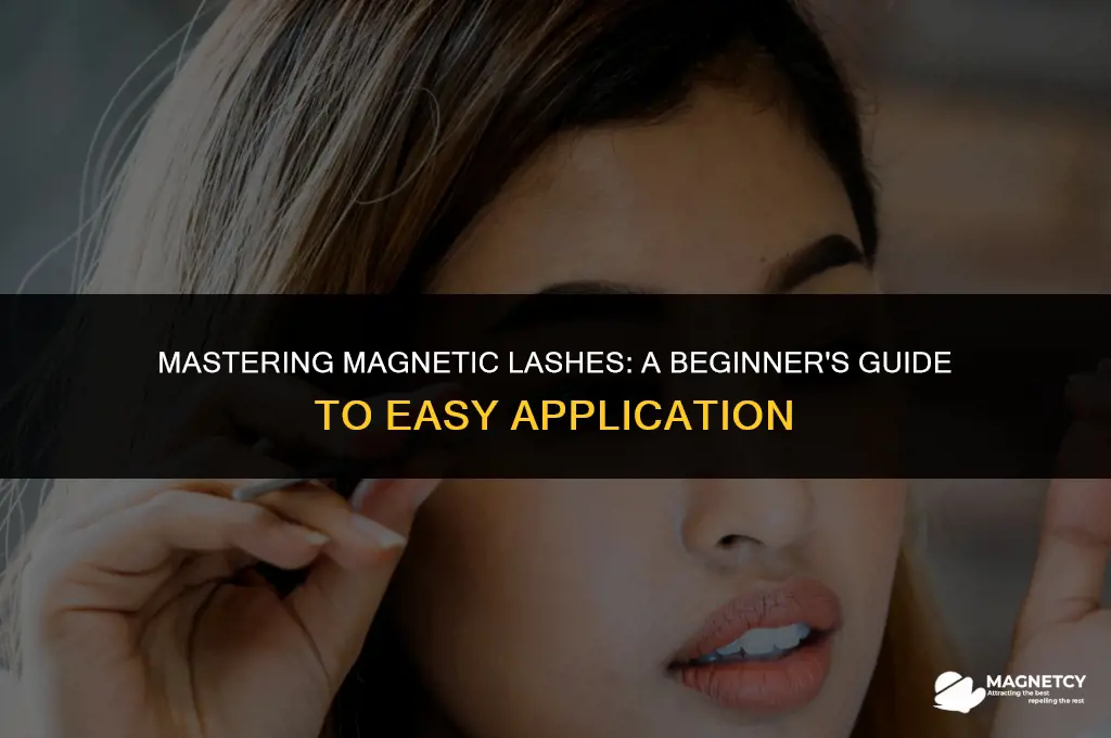 how to put on magnetic eyelashes for beginners