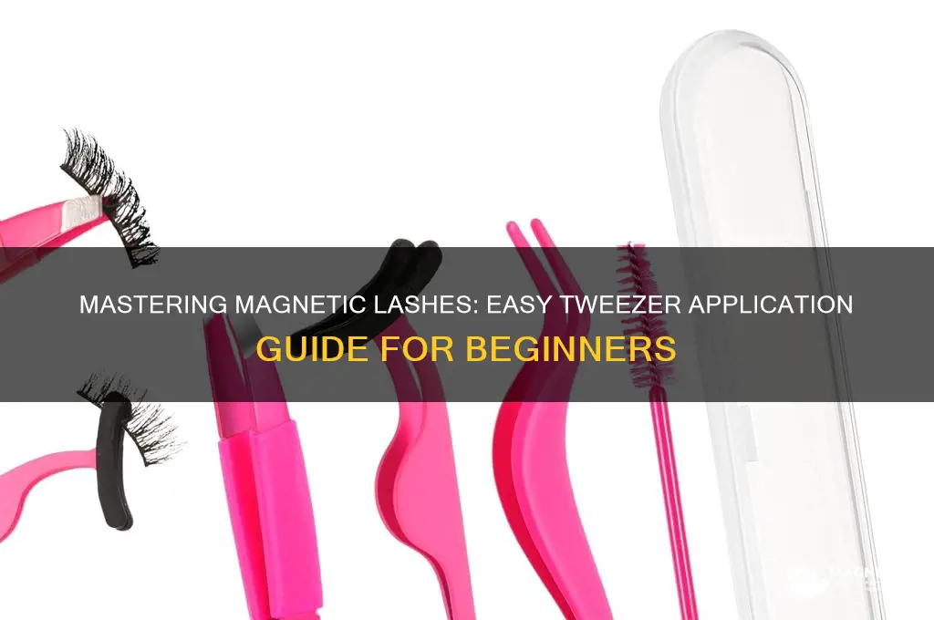 how to put on magnetic eyelashes useing the tweezers