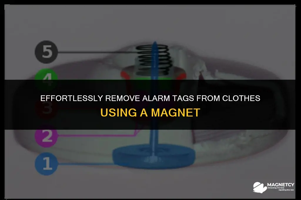 how to remove alarm tags from clothes with magnet
