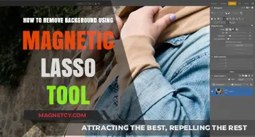 Master Background Removal with the Magnetic Lasso Tool in Photoshop