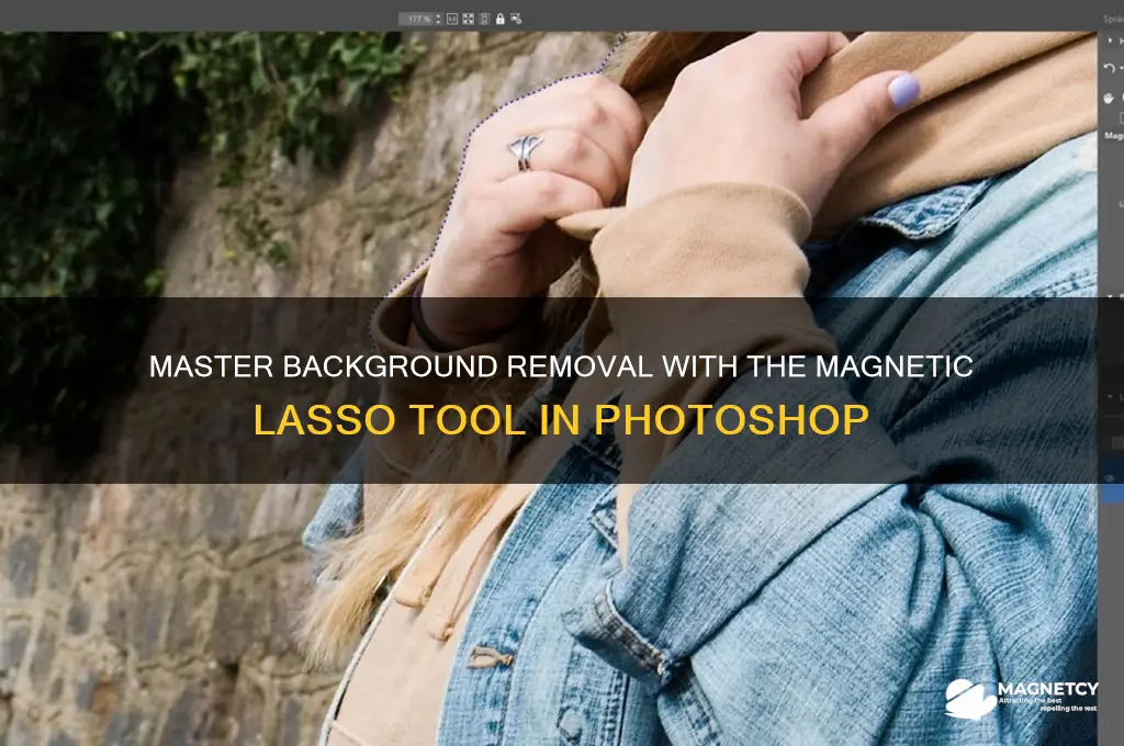 how to remove background using magnetic lasso tool
