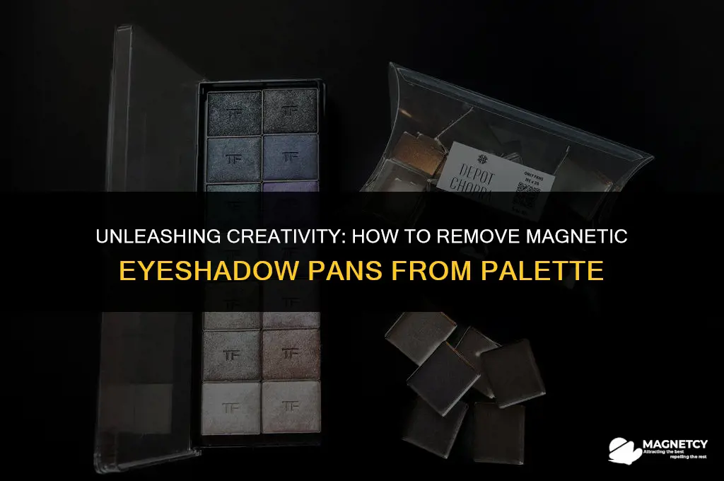 how to remove magnetic eyeshadow pans from pallette