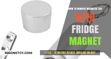 DIY Guide: Removing Magnetic Tags Using Fridge Magnets