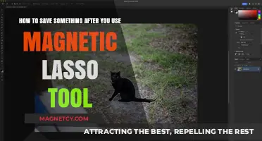 Mastering Magnetic Lasso: Saving Your Selection in Photoshop Effortlessly